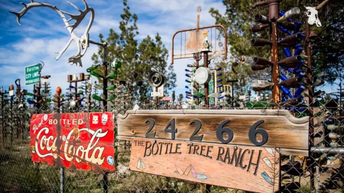 Bottle Tree Ranch