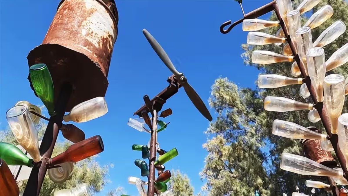 Bottle Tree Ranch