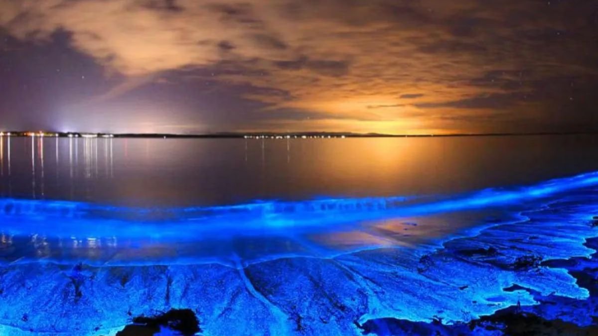 Maldives Tourism