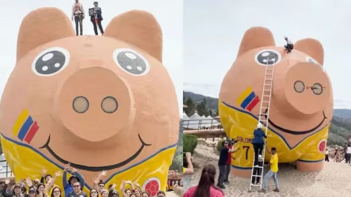 World's Largest Piggy Bank
