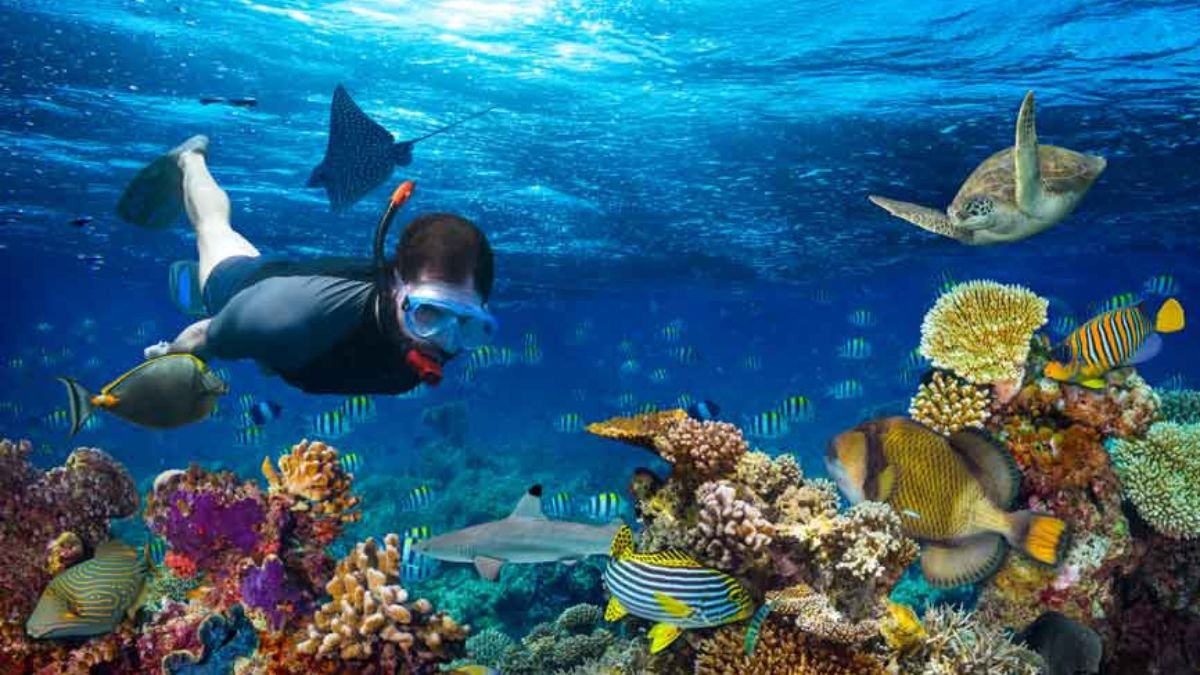 Maldives Tourism