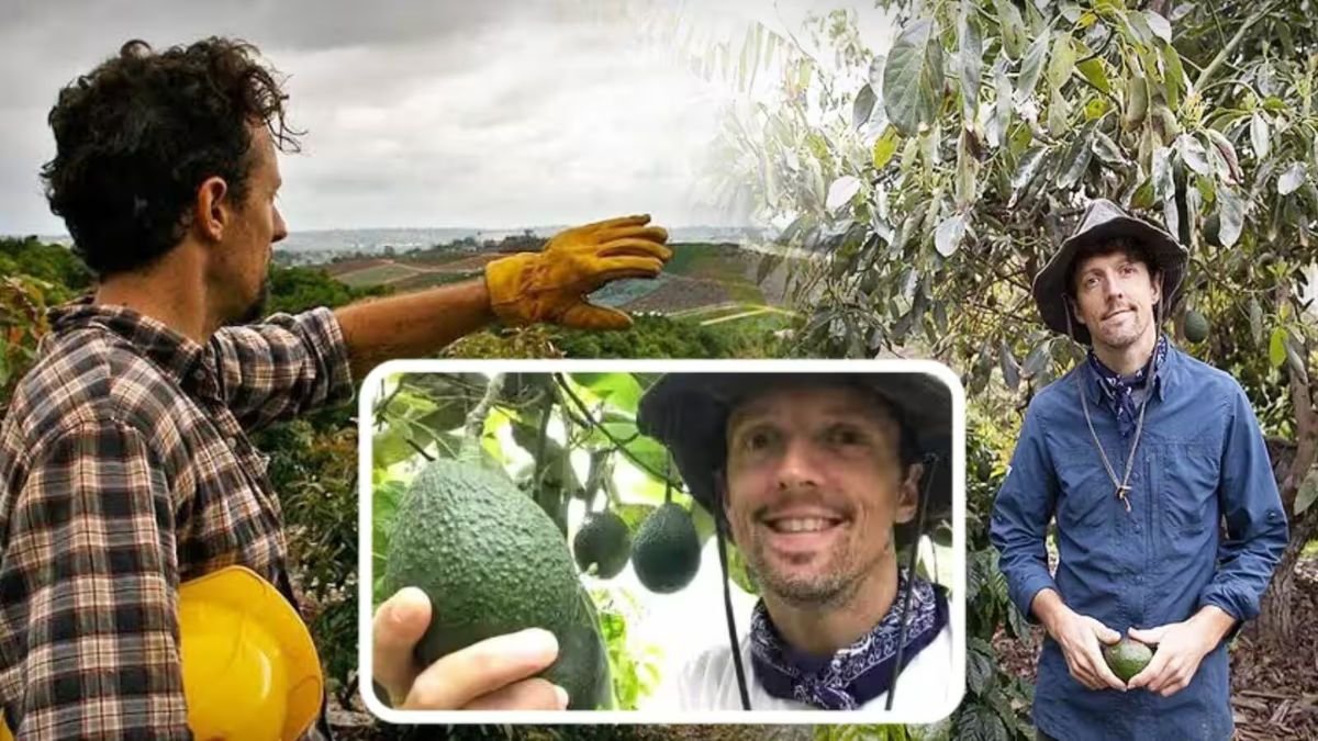 Jason Mraz Farm